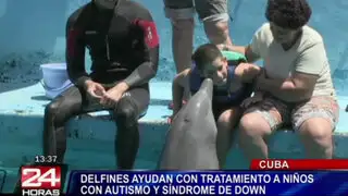 Cuba: delfines ayudan a tratar a niños con autismo y síndrome de Down
