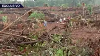 Deforestación sin límites: devastación en los bosques de Iquitos