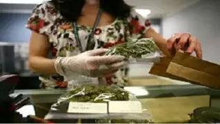 Costa Rica: proponen legalizar la marihuana para uso medicinal