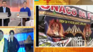 Circo Mónaco entregará a las autoridades todos sus animales salvajes