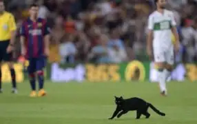 Gato negro invade cancha en el debut del Barcelona en el Camp Nou