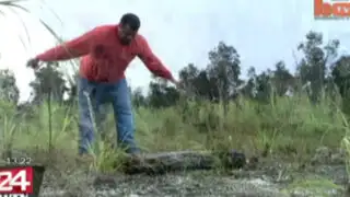 Cazador se gana la vida capturando a serpientes con sus propias manos