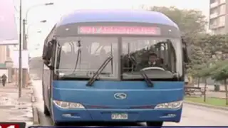 Buses patrón circulan permanentemente desde hoy en Corredor Azul