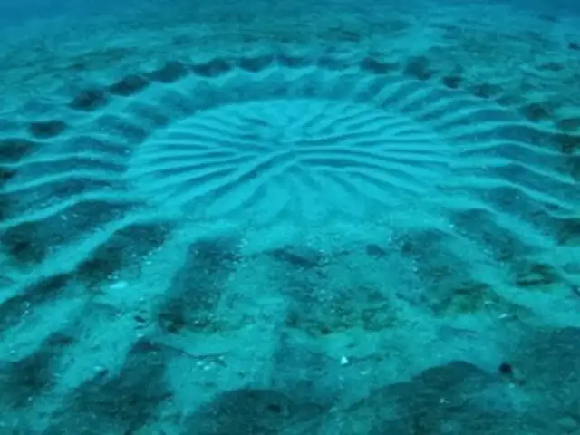 Misterio resuelto: descubre quiénes están detrás de estos círculos submarinos