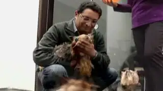 Yo Soy Candidato: postulante a Miraflores propone trato amigable a mascotas