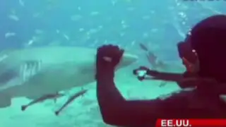 VIDEO: buzos sorprenden por tener una tierna amistad con tiburones