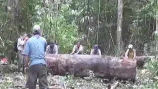 Ucayali: piden justicia para asháninkas asesinados por presuntos madereros ilegales