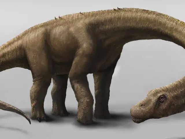 Argentina: descubren al dinosaurio terrestre más grande que existió en el mundo