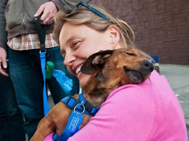 El mejor abrazo de tu vida te lo puede dar un perro: 20 fotos que lo demuestran