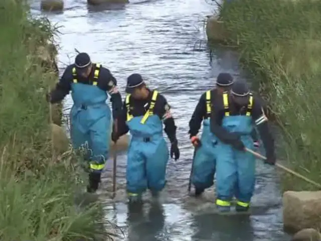 Japón: hallan cuerpo descuartizado de niña de seis años