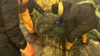 VIDEO: no imaginaron que pescarían esto… ni lo que pasó después