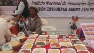 FOTOS: INIA realizó el Día de Campo y Primer Concurso Gastronómico de la Quinua