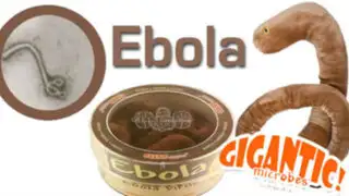 EEUU: peluches del ébola arrasan en ventas