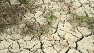 Estudio alerta sobre una gran sequía en Lima producto del cambio climático