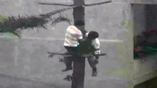 San Isidro: valiente taxista subió a un árbol para rescatar a jardinero herido