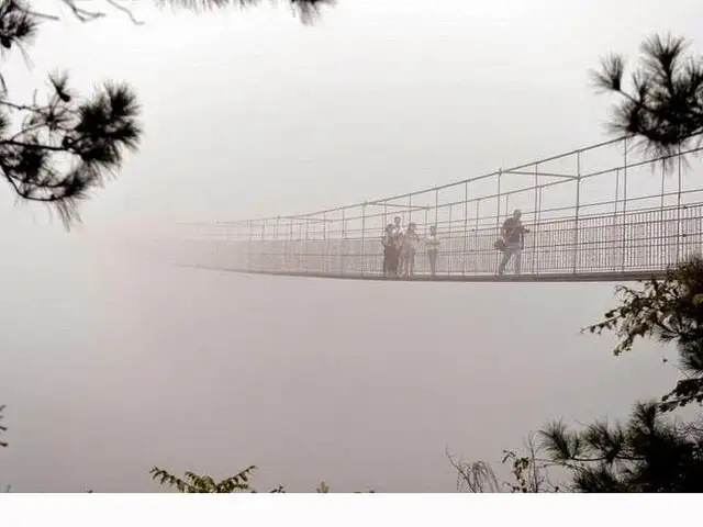 FOTOS: conoce el puente que solo los más valientes se atreven a cruzarlo