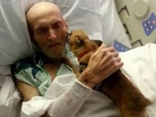 VIDEO: Paciente con enfermedad terminal se reencuentra con su mascota