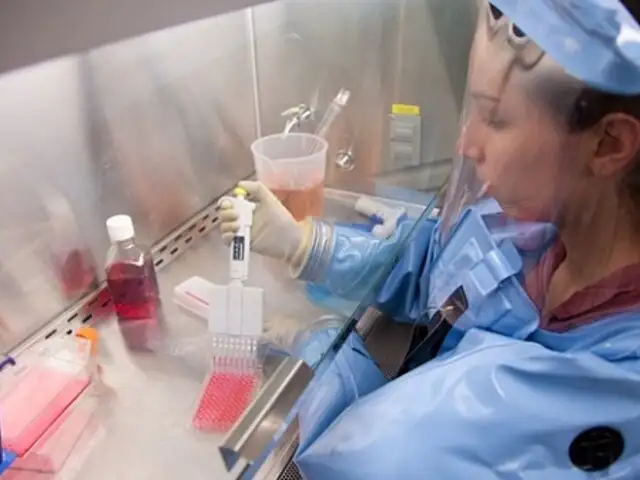 Vacuna contra el virus del ébola podría llegar en enero a África