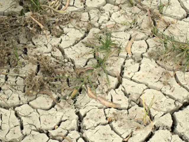 Estudio alerta sobre una gran sequía en Lima producto del cambio climático