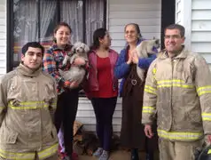 Chile: Bombero reanima con respiración boca-hocico a perra asfixiada en incendio