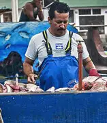 FOTOS: el inusual ‘cliente’ al que atiende todos los días este vendedor de pescado