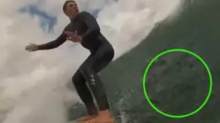 VIDEO: estaban surfeando cuando de repente esto salió de abajo del mar y los detuvo