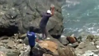 Chimbote: Identifican a pescadores que atacaron a pedradas a lobo marino