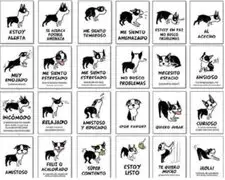 Descubre cuál es el lenguaje corporal de tu perro