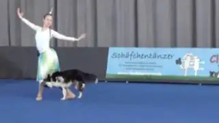 VIDEO: conoce a la talentosa perrita Lizzy, campeona mundial danza canina