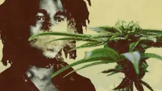 VIDEO: presentan comercial de cigarros de marihuana inspirado en Bob Marley