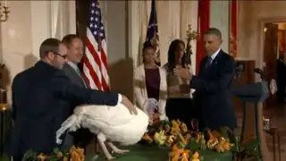 Barack Obama indultó a dos pavos por el Día de Acción de Gracias