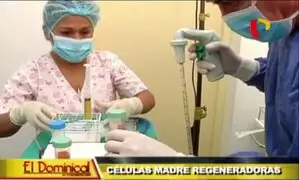 Células madre regeneradoras: la evolución de la medicina estética