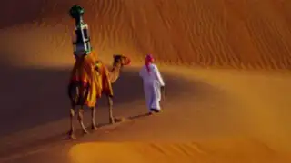 VIDEO: visita el impresionante desierto de Liwa gracias a los camellos de Google
