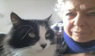 Gato retornó a casa de su dueña tras permanecer más de un año perdido