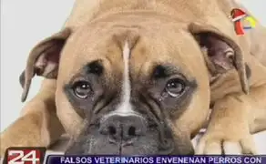 Falsos veterinarios envenenan a perros para robar en casas