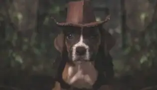 VIDEO: parodia canina de ‘Indiana Jones’ conquista las redes