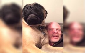 YouTube: perro que 'odia' los villancicos causa sensación en las redes