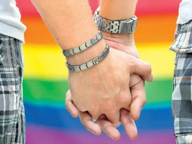 Se suspende revisión de proyecto de ley de Unión civil entre personas homosexuales
