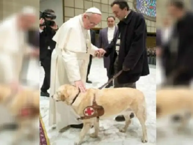 Papa Francisco afirmó que los animales sí van al cielo