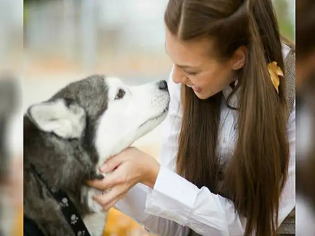 Estudio confirma que los perros nos ven como su familia