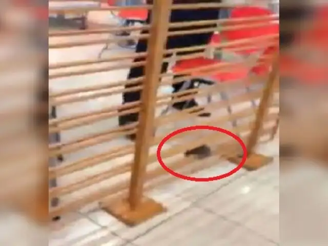 Independencia: hallan roedor en patio de comidas de centro comercial