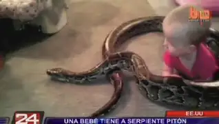 Estados Unidos: Bebé tiene como mascota a una serpiente pitón