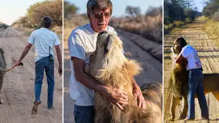 Conoce la sorprendente historia del hombre que tiene un león como mascota