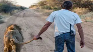 VIDEO: un sudafricano adoptó a un león y ahora salen a cazar juntos