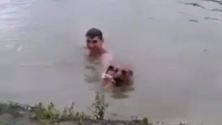 YouTube: perro se lanzó al río para rescatar a su dueño que simulaba ahogarse
