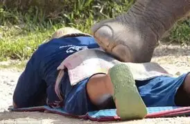 Tailandia: elefantes hacen masajes a cientos de turistas