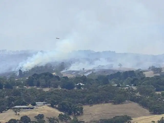 Australia: evacuan a miles de personas por incendios forestales en el sur del país