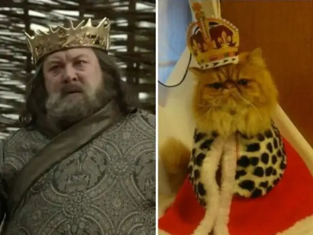 FOTOS: 12 gatos idénticos a los personajes de ‘Game of Thrones’