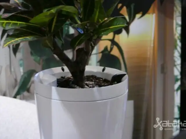 Parrot pot: la nueva maceta inteligente si se te olvida regar las plantas