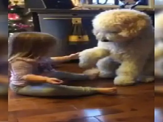 Facebook: adorable niña de tres años que ‘adiestra’ a su perro enternece a cibernautas